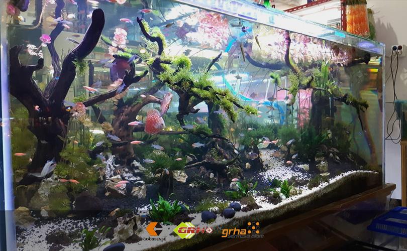 membersihkan lem aquarium