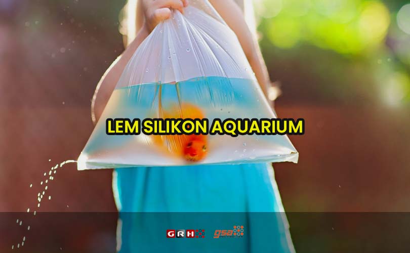 lem silikon aquarium