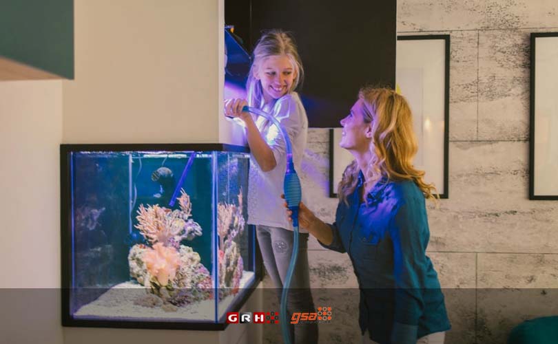 lem silikon aquarium