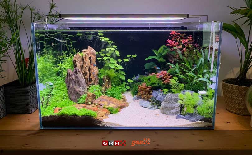 cara melepaskan lem kaca aquarium