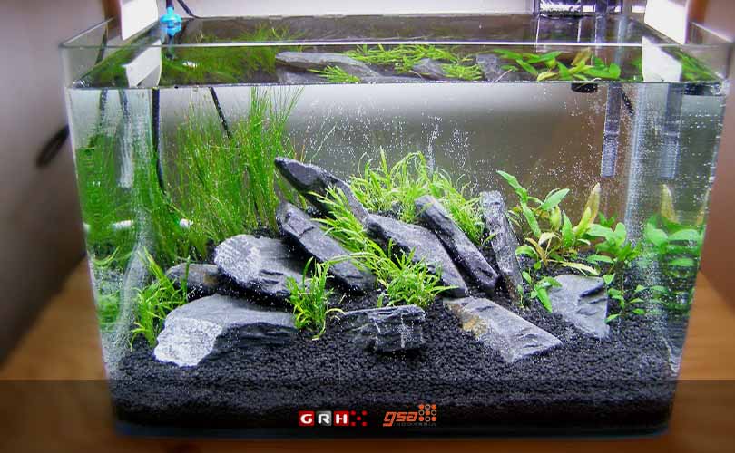 cara melepaskan lem kaca aquarium