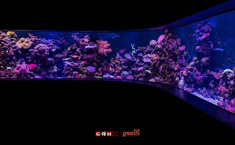 aquarium
