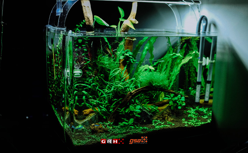 lem kaca untuk membuat aquarium