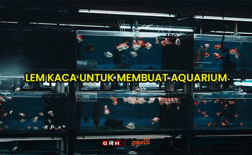 lem kaca untuk membuat aquarium