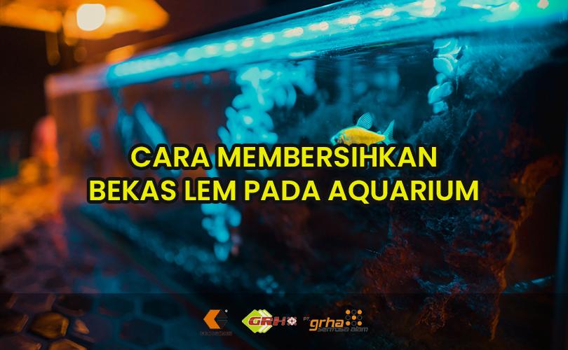 membersihkan lem aquarium